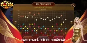 cách xem cầu tài xỉu