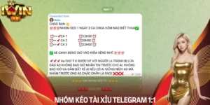 Các bước tham gia nhóm kéo tài xỉu Telegram an toàn